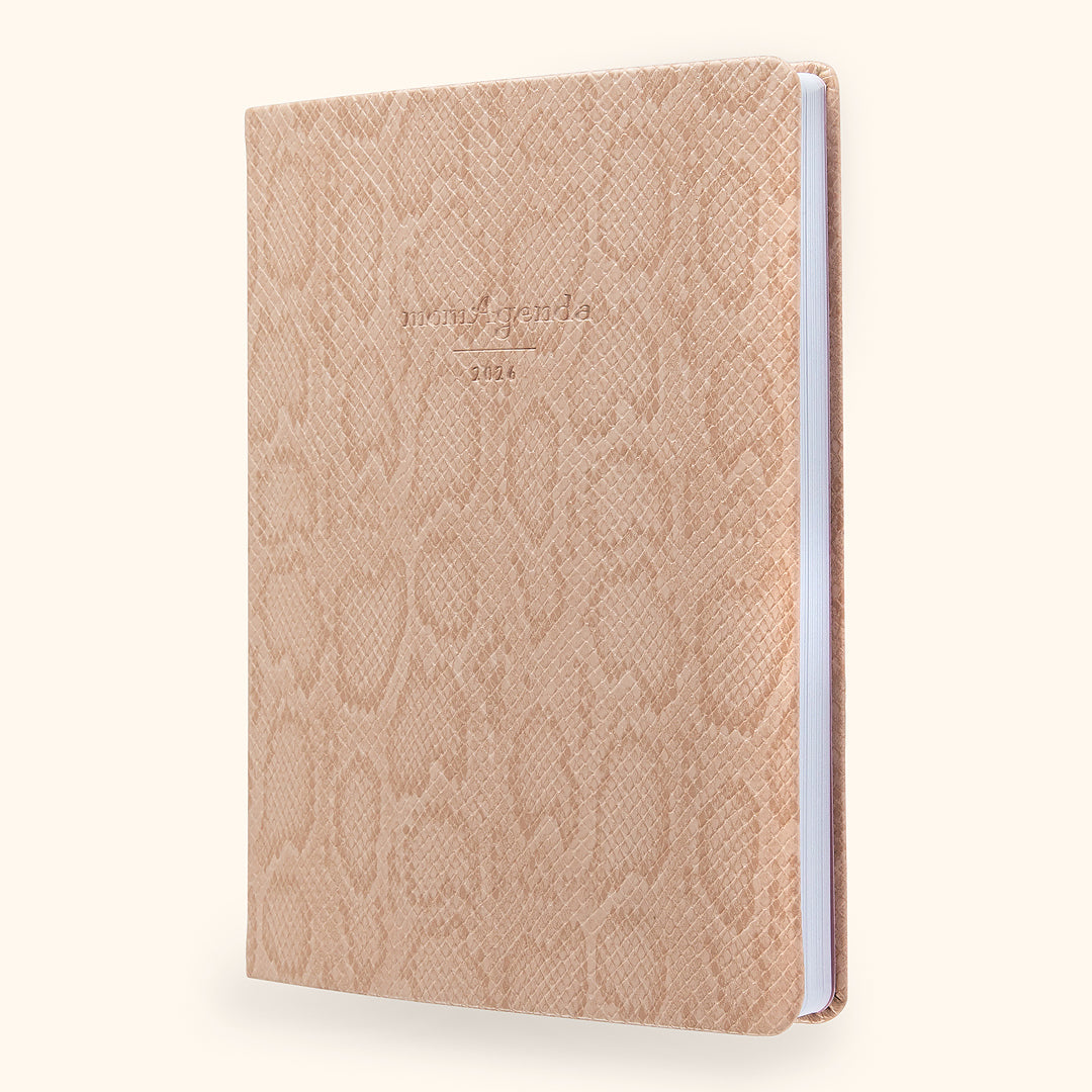 momAgenda Desktop 12-Month Planner 2026